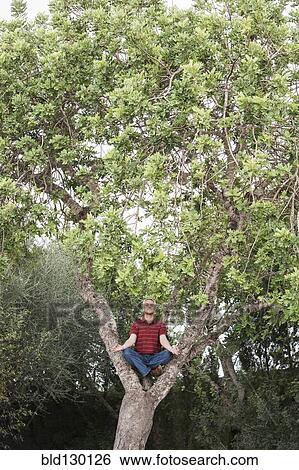 Stock Photograph - Man meditating in tree. Fotosearch