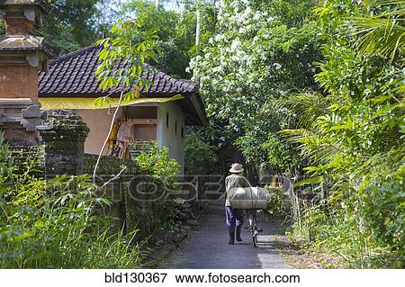 Man pushing bicycle on tropical path View Large Photo Image Stock Photo - Man pushing bicycle on tropical path. Fotosearch