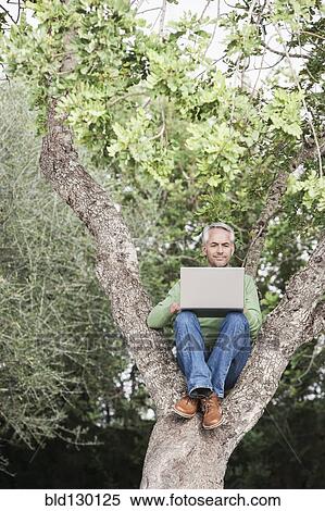 Man using laptop in tree View Large Photo Image Stock Photography - Man using laptop in tree. Fotosearch