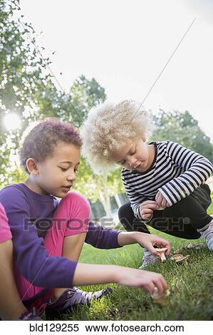 Stock Photography - Mixed race sisters examining mushrooms outdoors. Fotosearch