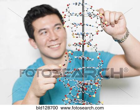 Stock Image - Mixed race student working on double helix model. Fotosearch