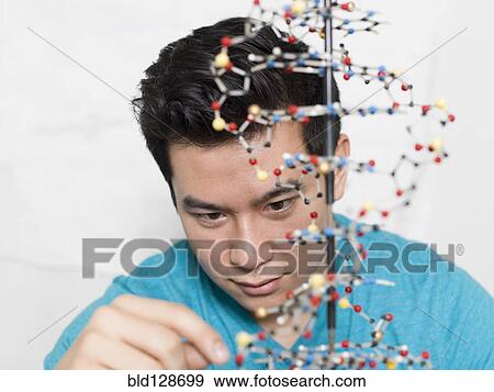 Mixed race student working on double helix model View Large Photo Image Stock Photo - Mixed race student working on double helix model. Fotosearch
