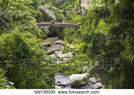 Rocky creek in tropical garden View Large Photo Image Stock Photography - Rocky creek in tropical garden. Fotosearch