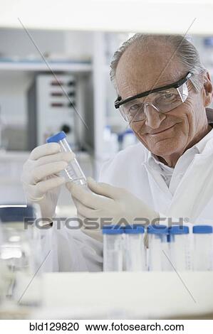 Senior Caucasian scientist examining samples in lab View Large Photo Image Stock Image - Senior Caucasian scientist examining samples in lab. Fotosearch
