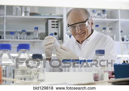 Senior Caucasian scientist examining samples in lab View Large Photo Image Stock Photo - Senior Caucasian scientist examining samples in lab. Fotosearch