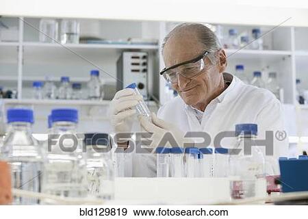 Senior Caucasian scientist examining samples in lab View Large Photo Image Stock Photo - Senior Caucasian scientist examining samples in lab. Fotosearch