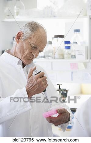 Senior Caucasian scientist testing samples in lab View Large Photo Image Stock Photography - Senior Caucasian scientist testing samples in lab. Fotosearch