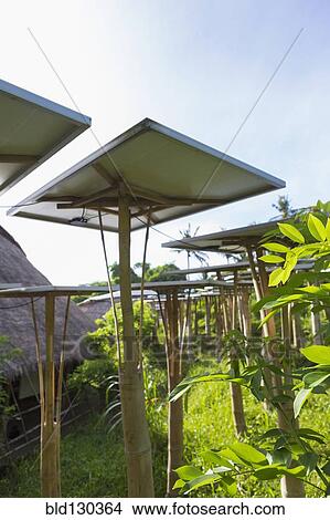 Solar panels in tropical garden View Large Photo Image Picture - Solar panels in tropical garden. Fotosearch