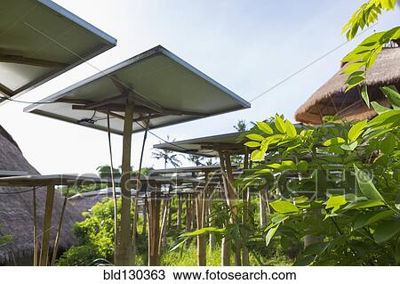 Solar panels in tropical garden View Large Photo Image Stock Image - Solar panels in tropical garden. Fotosearch