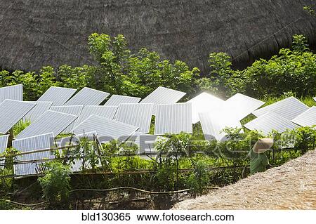 Stock Photography - Solar panels in tropical garden. Fotosearch