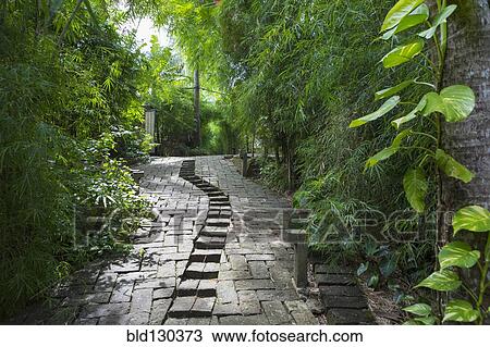 Stone steps in tropical garden View Large Photo Image Stock Image - Stone steps in tropical garden. Fotosearch