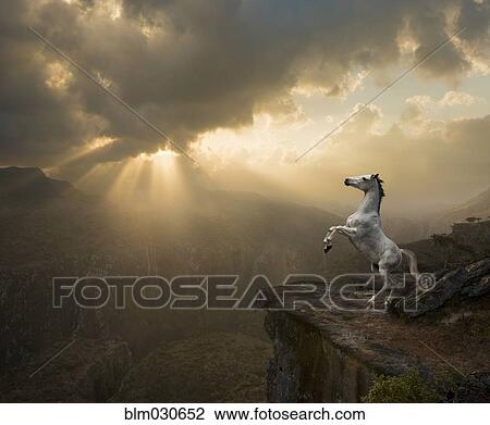 Stock Image - Horse rearing up on hind legs on rocky cliff. Fotosearch