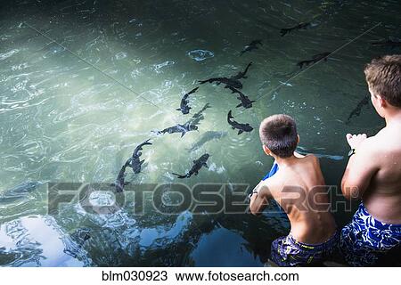 Stock Image - Boys watching sharks swim in ocean. Fotosearch