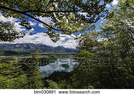 Stock Image - Trees overlooking mountains and still lake in rural landscape. Fotosearch