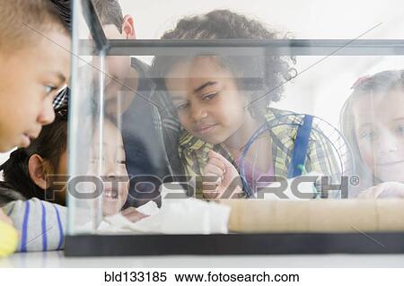 Stock Photography - Children watching hamster. Fotosearch