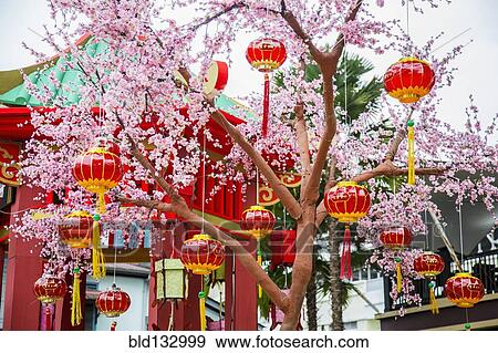 Stock Photo - Chinese New Year lanterns on flowering tree. Fotosearch