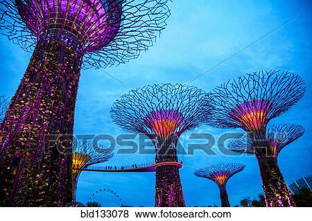 Stock Photo - Electric supertrees lit up at night, Singapore, Republic of Singapore. Fotosearch