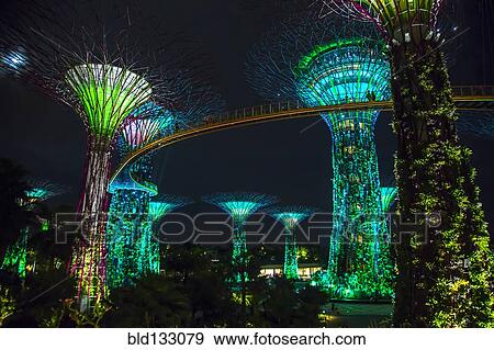Stock Photo - Electric supertrees lit up at night, Singapore, Republic of Singapore. Fotosearch