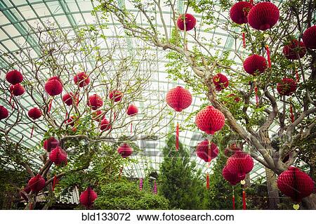 Stock Image - Lanterns hanging from trees in greenhouse. Fotosearch