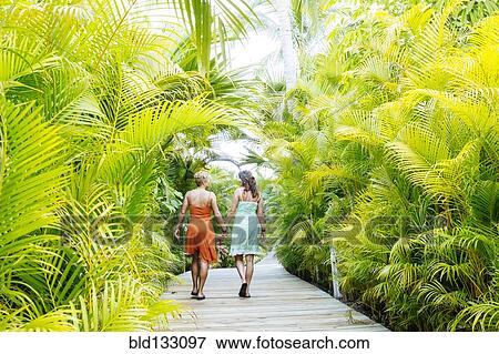 Stock Photo - Lesbian couple holding hands on tropical walkway. Fotosearch