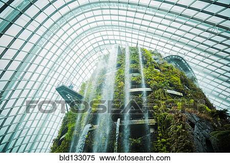 Stock Photography - Moss growing on structure in greenhouse. Fotosearch
