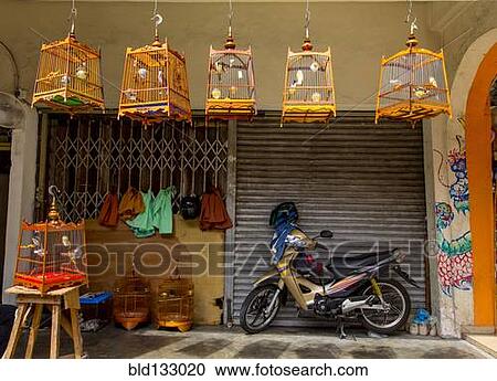 Stock Image - Motorcycle parked outside birdcage shop. Fotosearch
