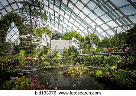 Stock Photograph - Ornate garden in greenhouse. Fotosearch