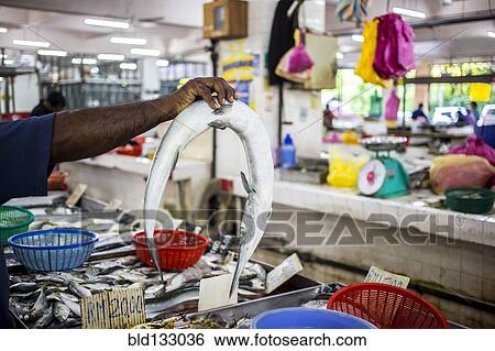 Stock Photograph - Seller holding fish for sale in market. Fotosearch