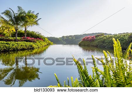 Stock Image - Sky reflected in still tropical lake. Fotosearch