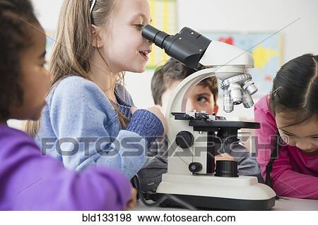 Students using microscope in classroom View Large Photo Image Stock Photo - Students using microscope in classroom. Fotosearch
