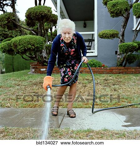 Woman watering her front lawn View Large Photo Image Stock Photo - Woman watering her front lawn. Fotosearch