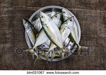 Stock Photo - Bucket of fish for sale in market. Fotosearch