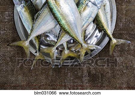Bucket of fish for sale in market View Large Photo Image Stock Photograph - Bucket of fish for sale in market. Fotosearch