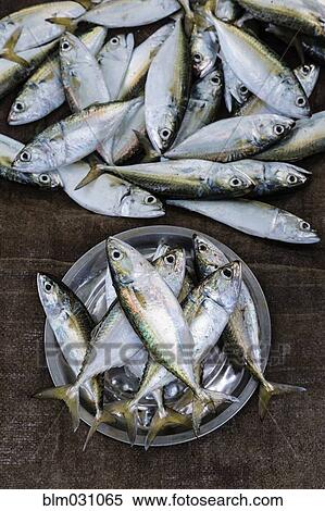 Buckets of fish for sale in market View Large Photo Image Stock Photography - Buckets of fish for sale in market. Fotosearch