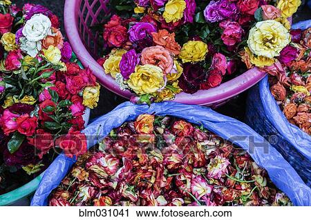 Stock Image - Close up of buckets of flowers for sale in market. Fotosearch