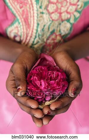 Stock Image - Close up of woman holding flower in cupped hands. Fotosearch