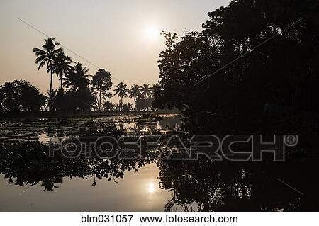 Silhouette of palm trees by tropical river View Large Photo Image Stock Photo - Silhouette of palm trees by tropical river. Fotosearch