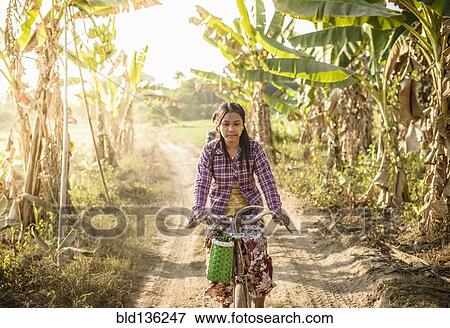 Asian woman riding bicycle on rural road View Large Photo Image Stock Photo - Asian woman riding bicycle on rural road. Fotosearch
