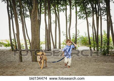 Boy walking dog on wooded beach View Large Photo Image Picture - Boy walking dog on wooded beach. Fotosearch