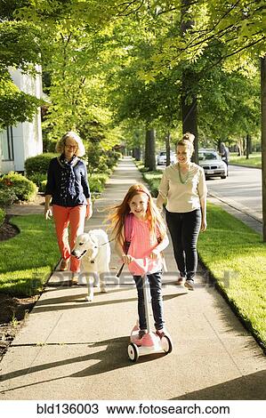 Caucasian family walking dog on suburban sidewalk View Large Photo Image Stock Image - Caucasian family walking dog on suburban sidewalk. Fotosearch