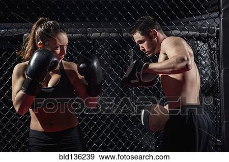 Stock Photo - Caucasian fighters training in gym. Fotosearch