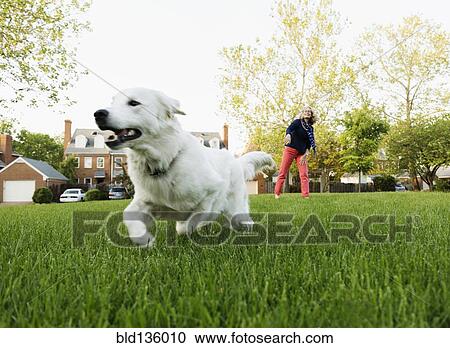 Stock Image - Caucasian woman playing with dog in park. Fotosearch