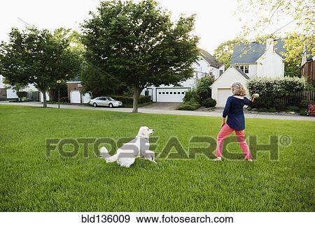 Caucasian woman playing with dog in park View Large Photo Image Stock Photo - Caucasian woman playing with dog in park. Fotosearch