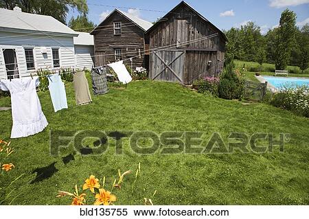 Clothesline and green lawn in backyard View Large Photo Image Stock Photography - Clothesline and green lawn in backyard. Fotosearch