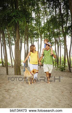 Family walking together on wooded beach View Large Photo Image Stock Image - Family walking together on wooded beach. Fotosearch
