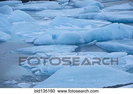 Glaciers floating in arctic water View Large Photo Image Stock Image - Glaciers floating in arctic water. Fotosearch