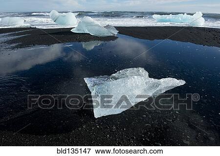 Glaciers melting on arctic beach View Large Photo Image Stock Photo - Glaciers melting on arctic beach. Fotosearch