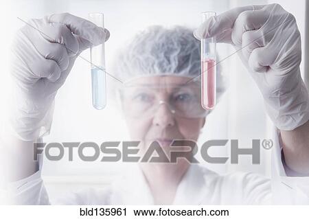 Hispanic scientist examining test tubes in lab View Large Photo Image Stock Image - Hispanic scientist examining test tubes in lab. Fotosearch