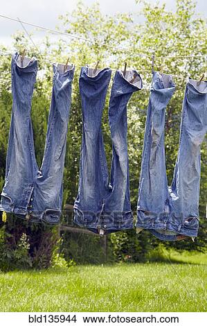 Jeans hanging from clothesline View Large Photo Image Picture - Jeans hanging from clothesline. Fotosearch