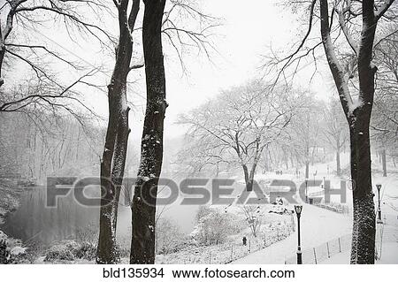 Lake in snowy urban park View Large Photo Image Picture - Lake in snowy urban park. Fotosearch